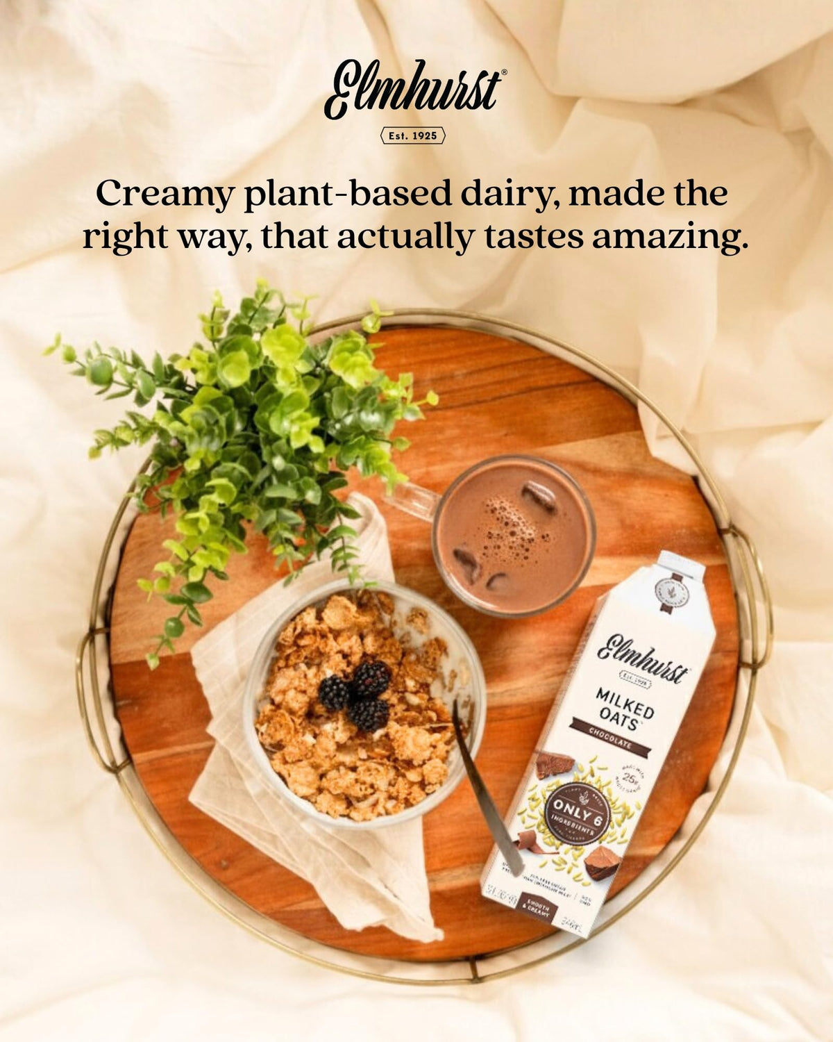 Elmhurst Chocolate Oat Milk shelf-stable pantry option