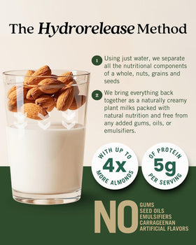 Pack of six Elmhurst unsweetened almond milk cartons on a store shelf