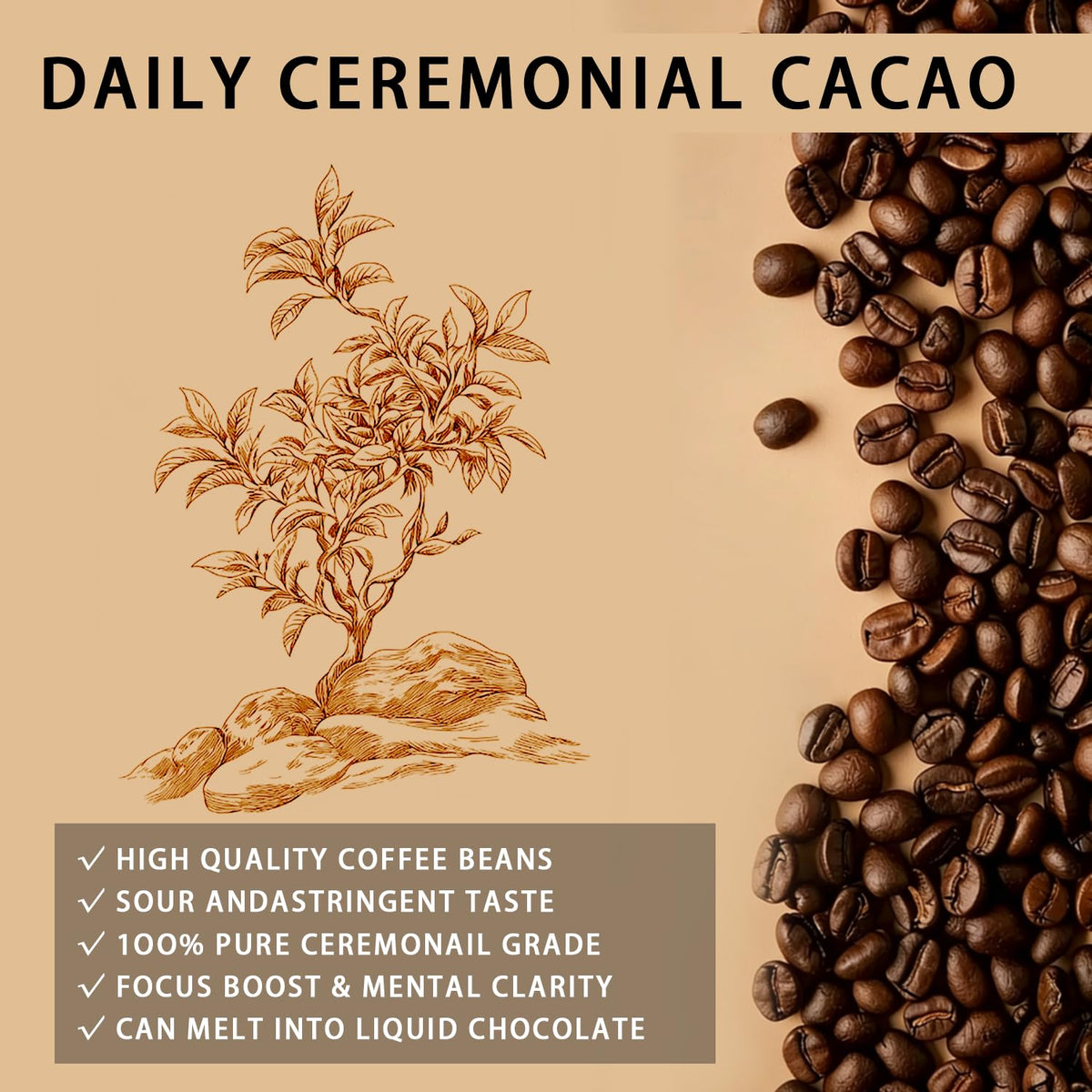 Elunara Maia ceremonial cacao ritual setup ready for daily mindfulness.