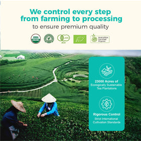Emerail matcha storage guidance suggests cool, dry conditions to preserve freshness.
