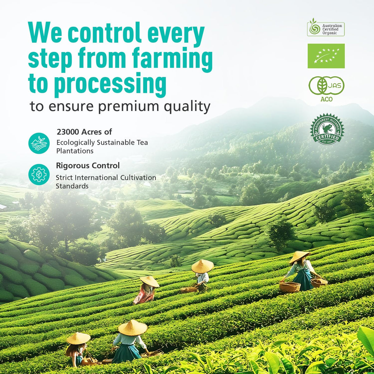 Emerail SGS certification label on packaging signaling purity and safety.