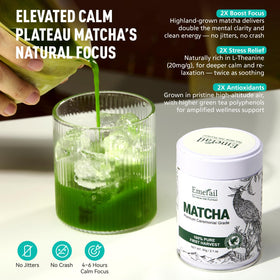 Emerail smooth-brewed matcha cup for mindful tea breaks.