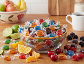 EMPORIUM CANDY assorted sugar-free fruit buttons variety pack for refills
