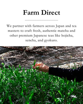 EMPTEA Sencha first harvest Asamushi aroma with delicate sweetness.