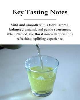 EMPTEA Sencha steam rising with floral aroma, inviting a soothing brew.