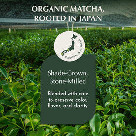 Encha direct-from-Japan packaging signals authentic provenance for connoisseurs.