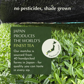 Encha Matcha Latte Powder vanilla-first-harvest highlights premium spring harvest flavor.