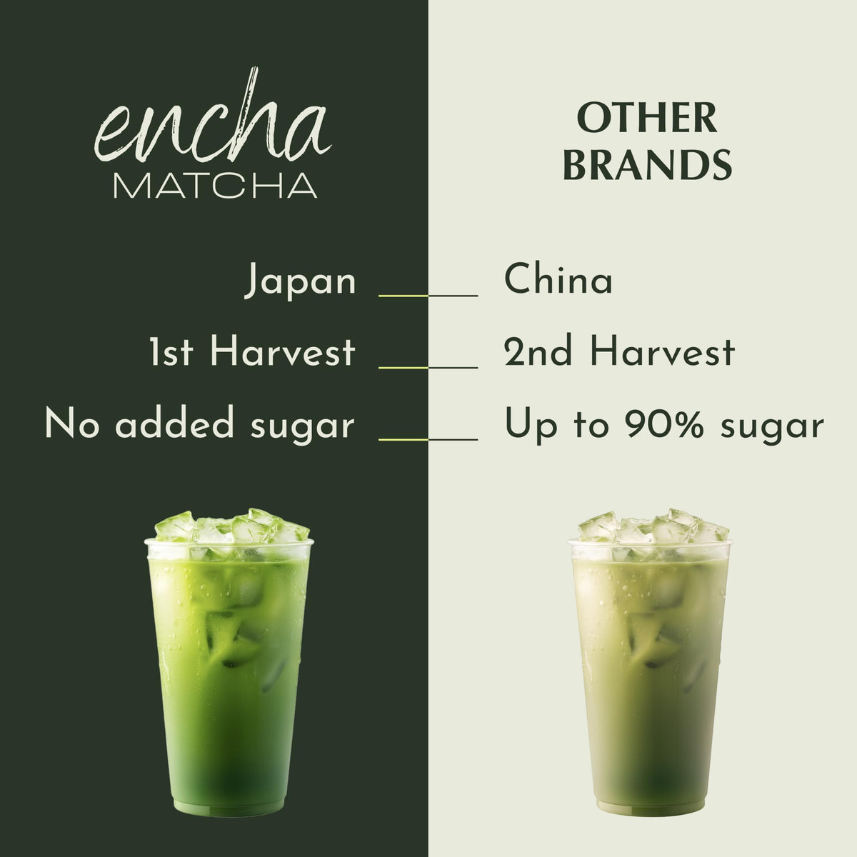 Encha Matcha Latte Powder vanilla-scoop-ready for quick latte mixing.