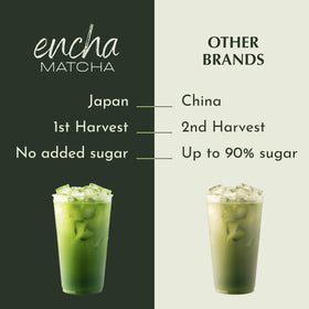 Encha Matcha Latte Powder vanilla-scoop-ready for quick latte mixing.