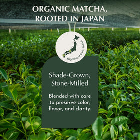 Steaming Encha cup invites mindful sipping and aroma.