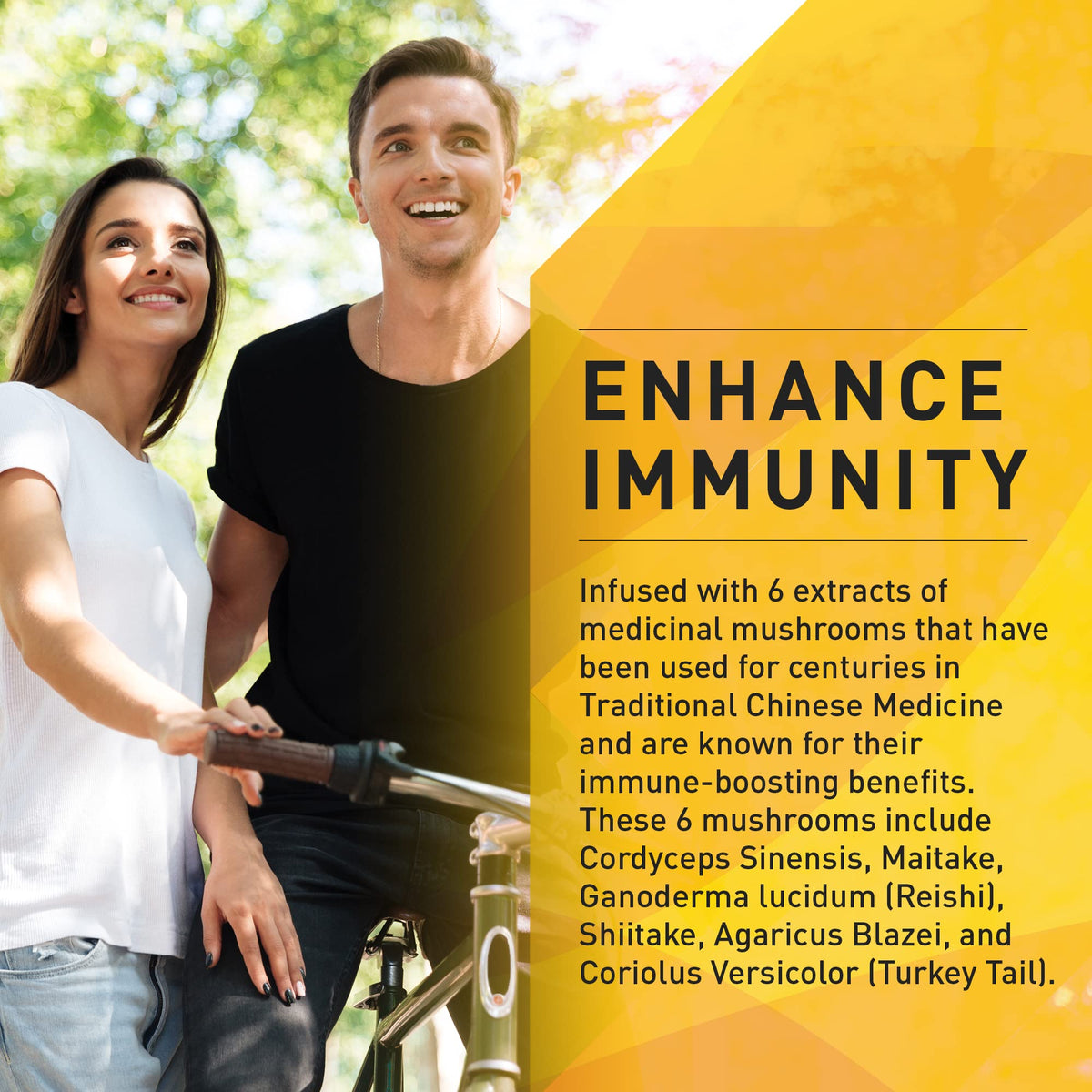 EnerHealth Cocoa Mojo bottle of six mushroom extracts for an immune-supporting blend.