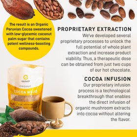 EnerHealth Cocoa Mojo packaging front highlighting certified organic ingredients.