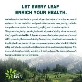 Front label of EnrychLeafo Cleavers tea emphasizes caffeine-free quality.