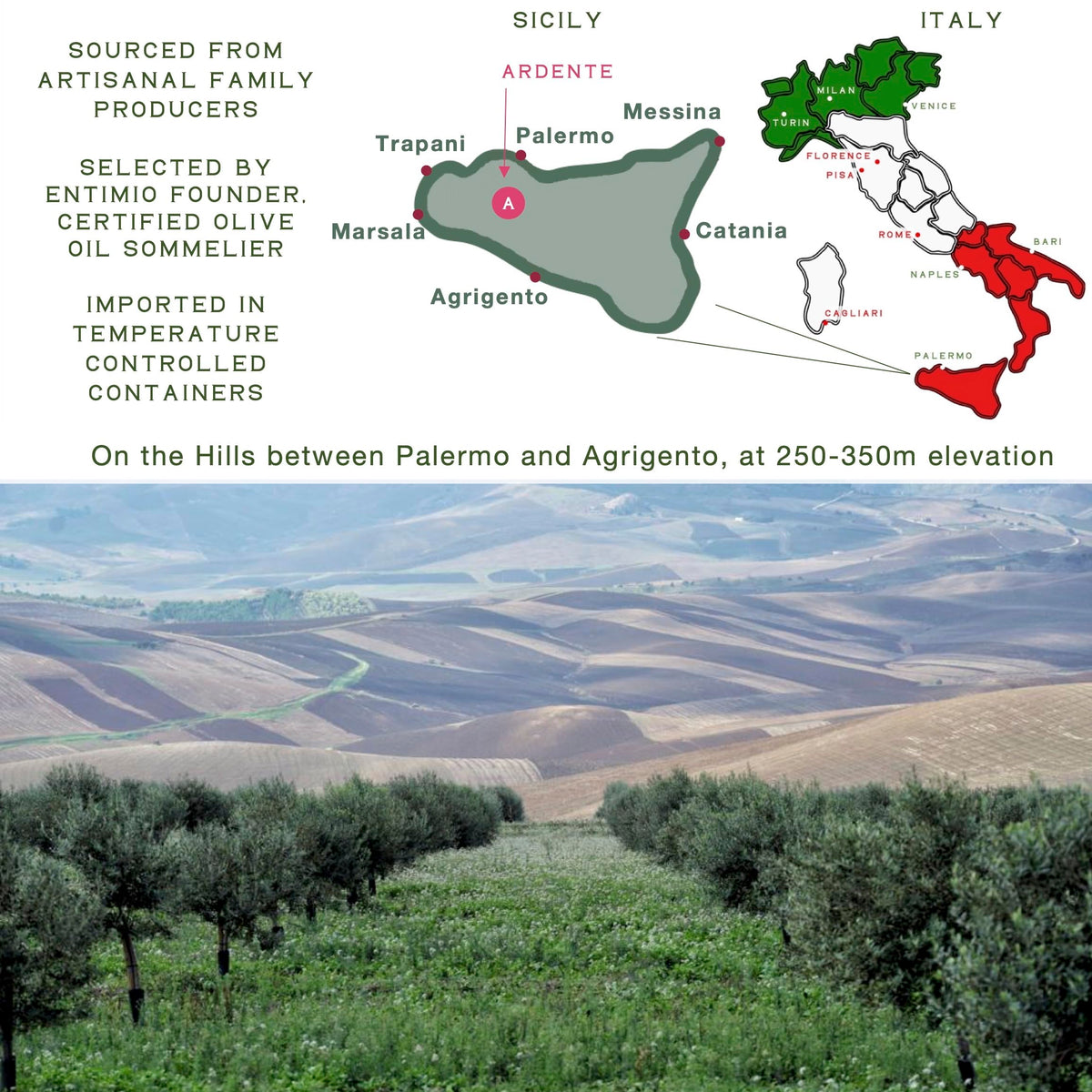 Entimio Ardente premium olive oil for high-heat cooking and pan searing