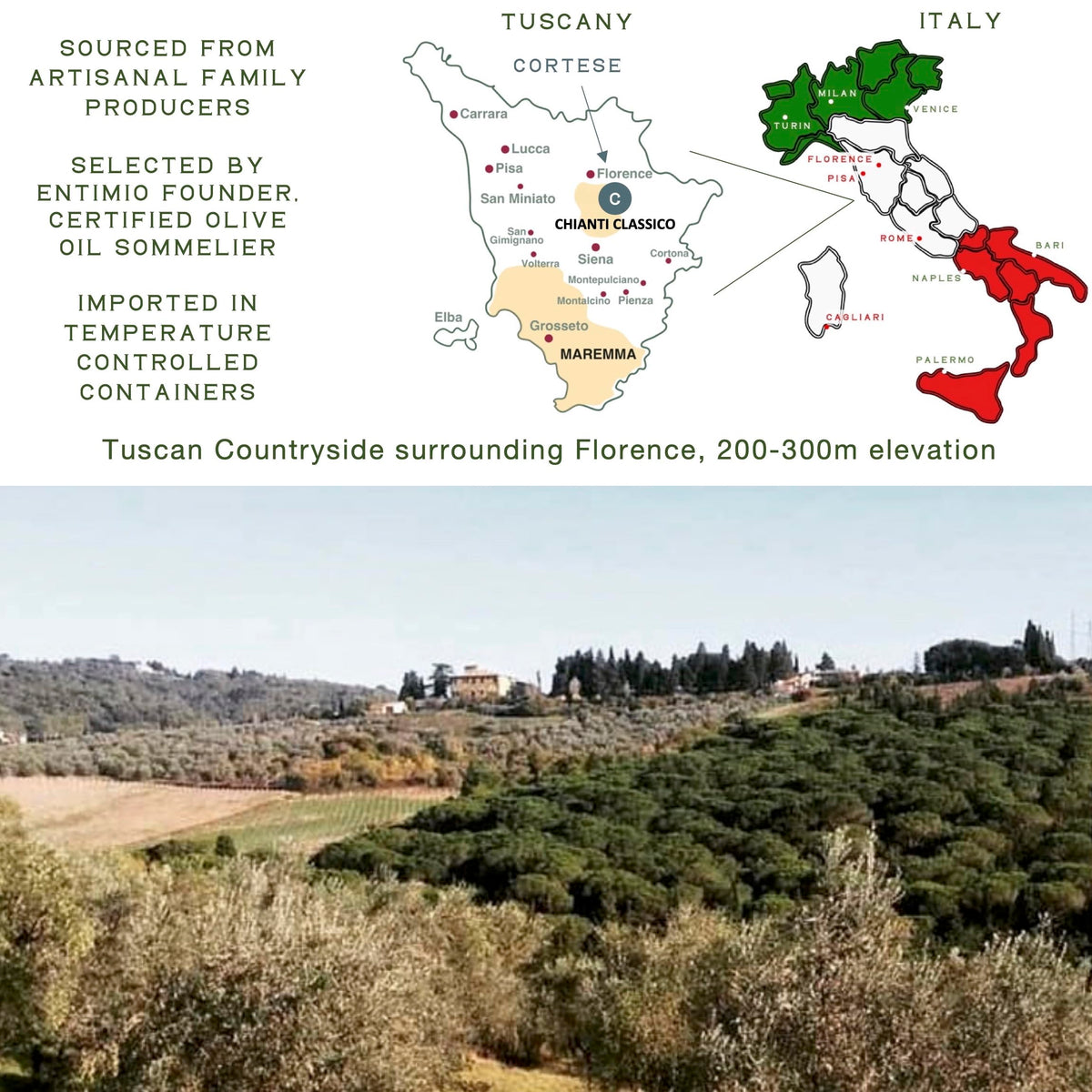 Entimio Cortese olives harvest scene highlighting fresh notes and early harvest quality