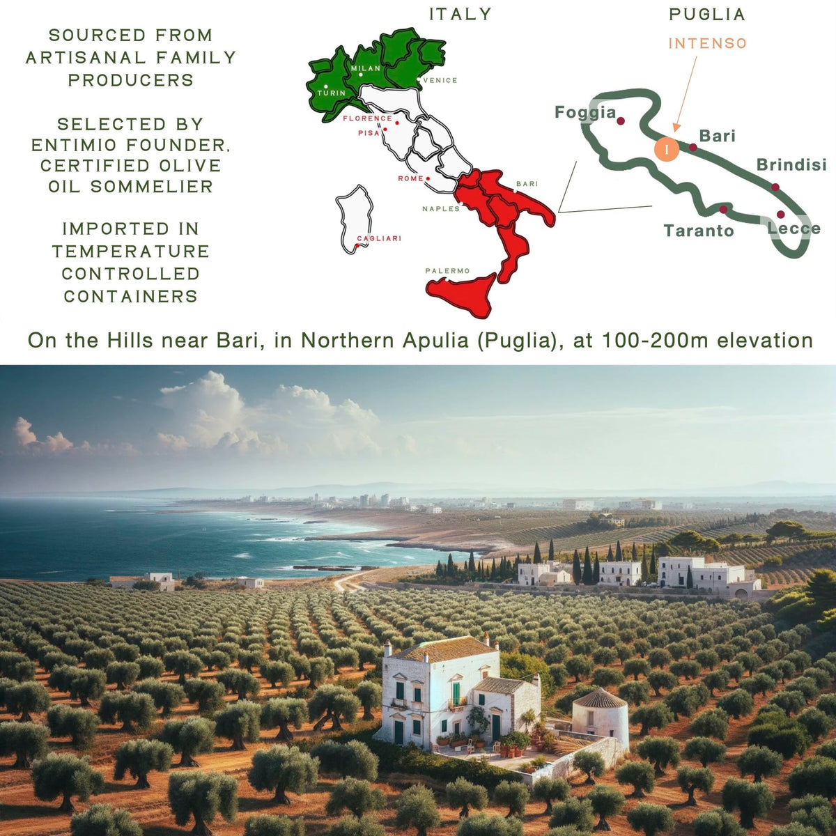Entimio Intenso artisanal gift packaging signals premium presentation.