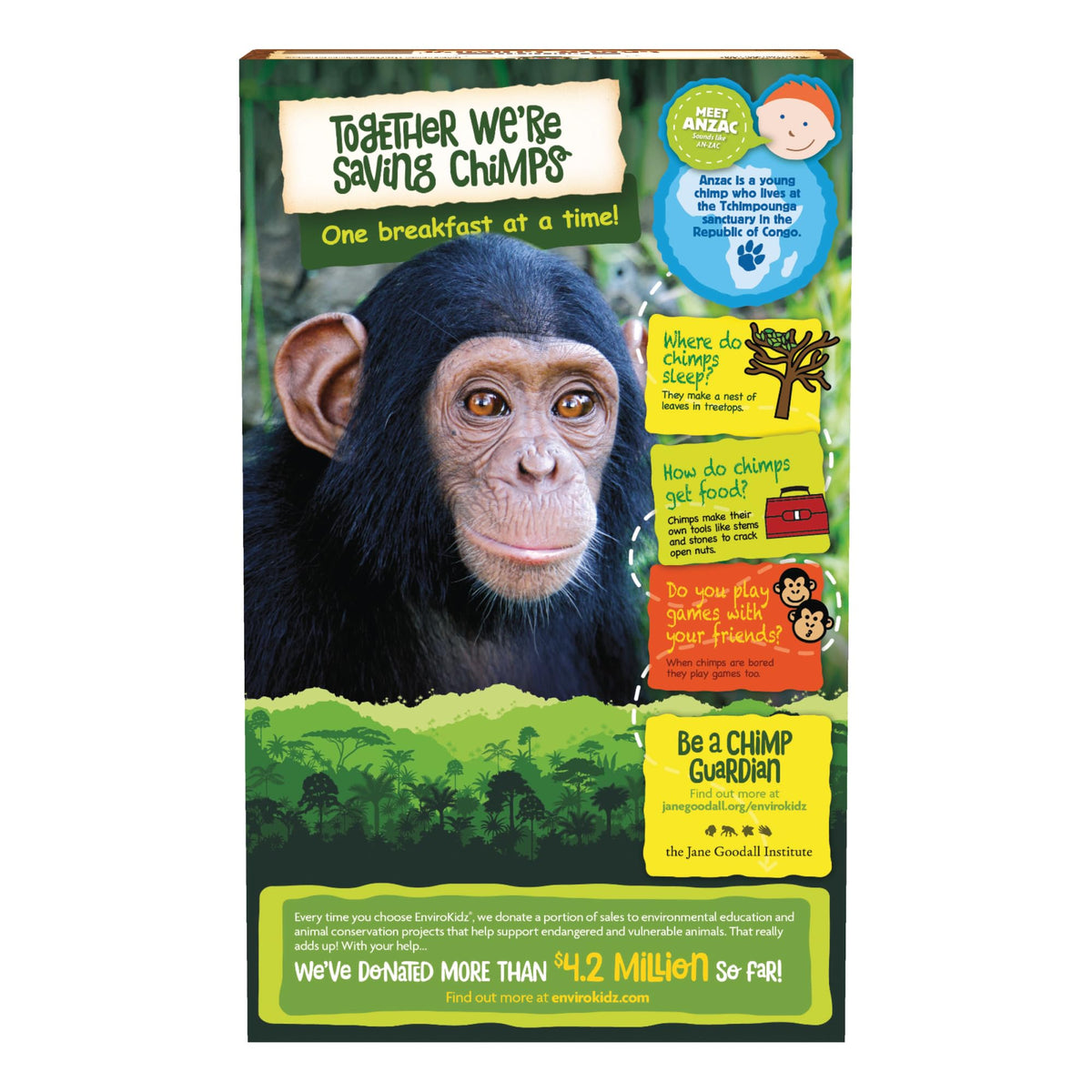 Close-up of EnviroKidz Choco Chimps cocoa coated corn puffs.
