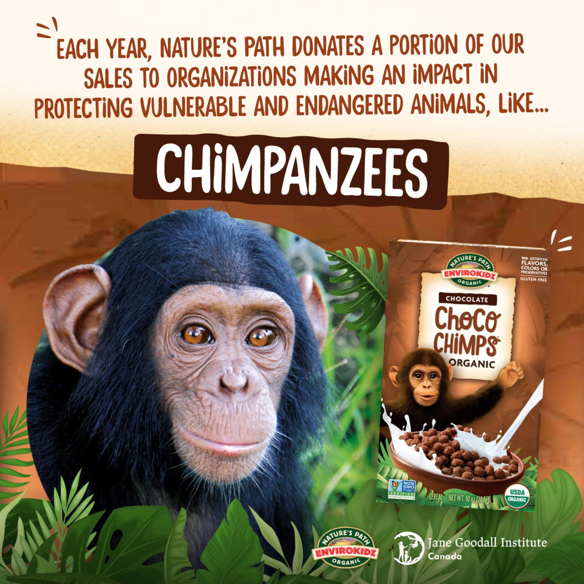 EnviroKidz Choco Chimps pack of 12 boxes for families.