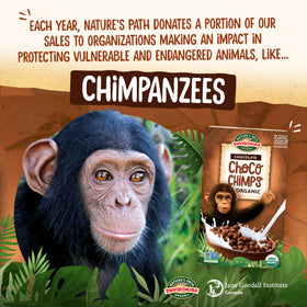 EnviroKidz Choco Chimps pack of 12 boxes for families.