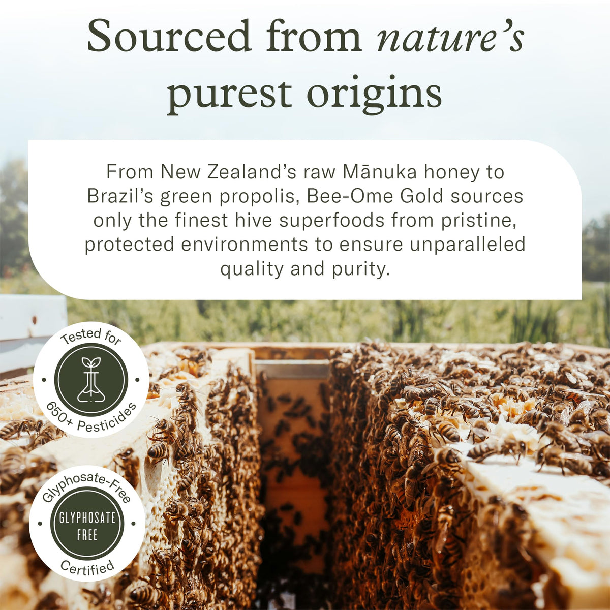 Enviromedica Bee-Ome Gold green propolis close-up emphasizes pristine sourcing