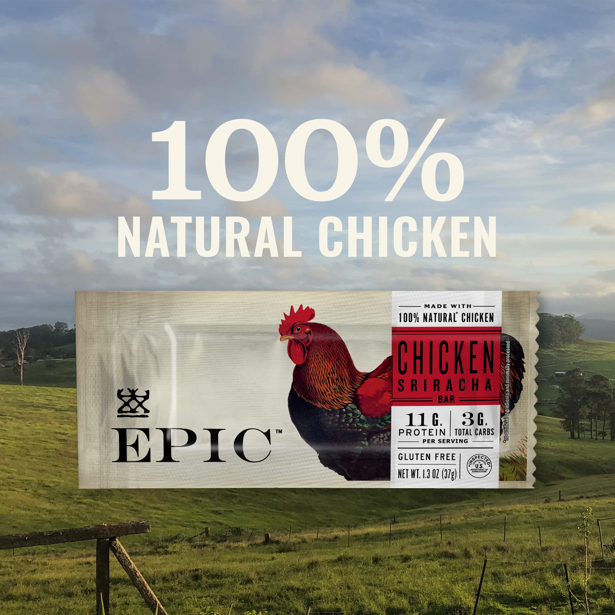EPIC Bars Chicken Sriracha bar closeup showing savory texture