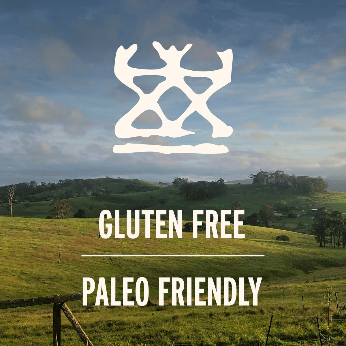 Ingredients highlight: grass-fed beef and pork with no hormones or antibiotics