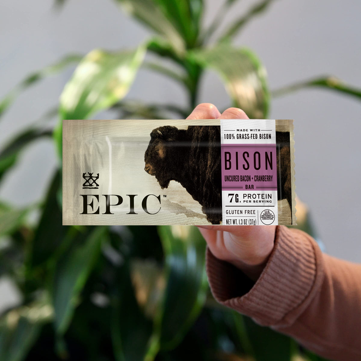 EPIC Bison bars show grass-fed ingredients for a wholesome protein snack