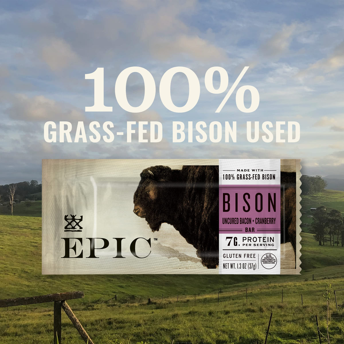 EPIC Bison Uncured Bacon Cranberry Bars single bar emphasizes savory smoky flavor