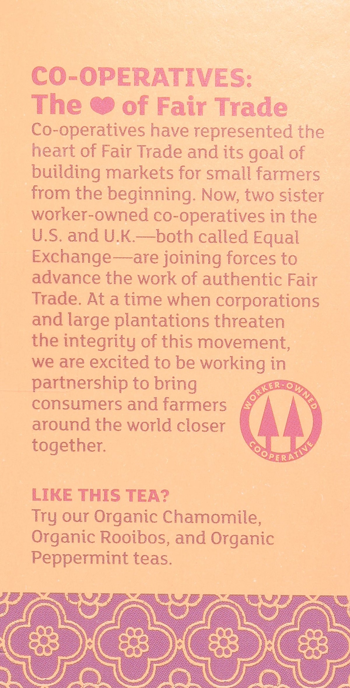 Equal Exchange Vanilla Rooibos Tea cup-brew demonstrates caffeine-free, soothing ritual.