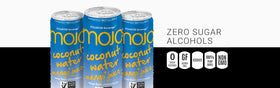 Equator MOJO ingredients visual emphasizes coconut water and mango flavor