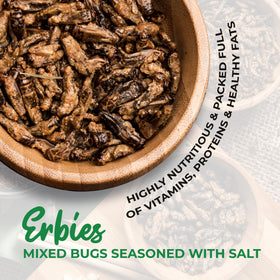 Erbies crickets crunch close-up showing savory seasoning