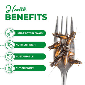 Erbies trail mix with sago worms delivers chewy crunch and natural protein.