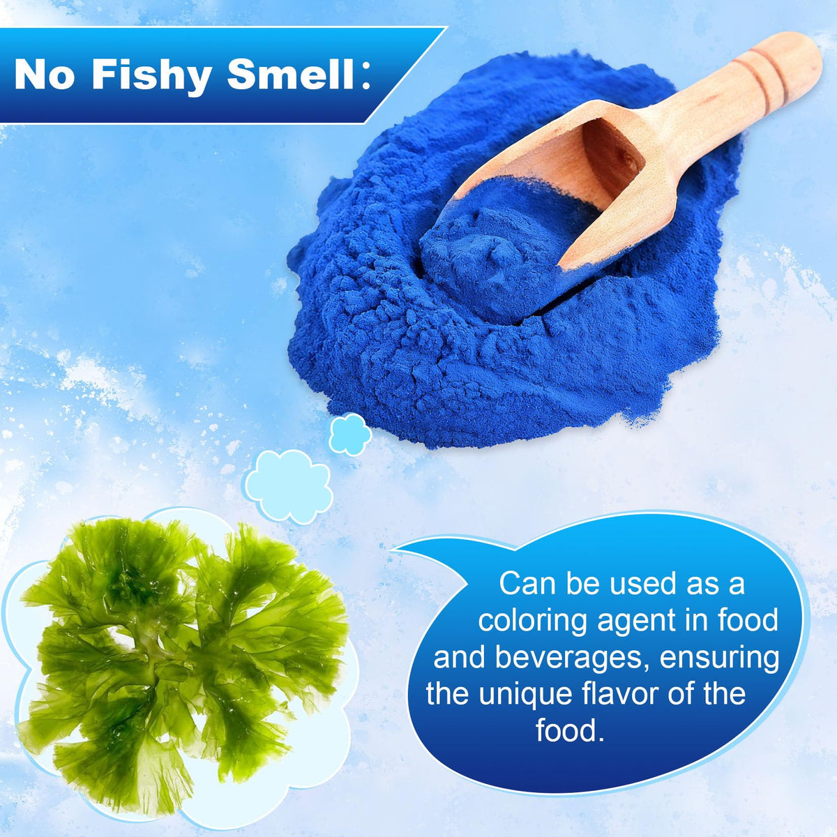 ERCorArt Blue Spirulina Powder secure bottle packaging keeps powder fresh