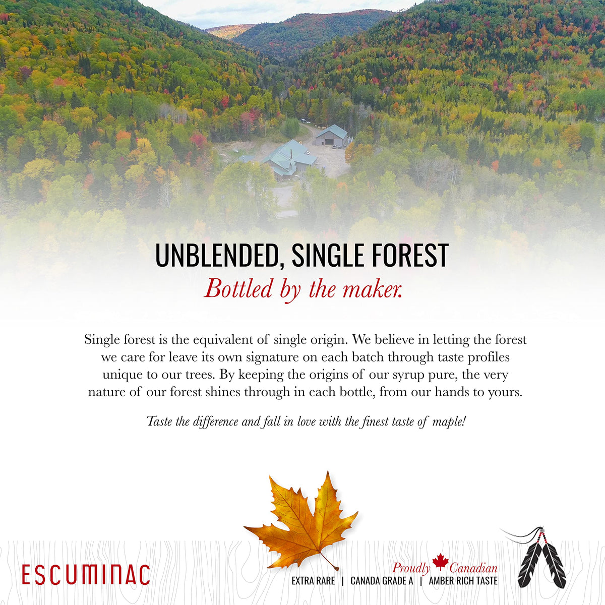 Escuminac maple syrup amber bulk party favors, easy to share at weddings.