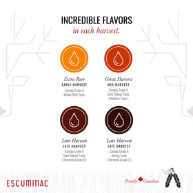 Escuminac maple syrup in kitchen setup suggests versatile use on waffles, yogurt, and more