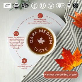 Escuminac maple syrup pour close-up highlighting deep, medium-rich taste ideal for pancakes