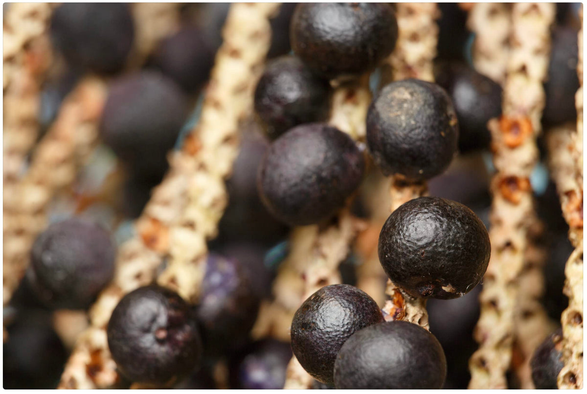 Especial Fruits Acai dessert topping, enhances desserts with rich, naturally sweet acai flavor.