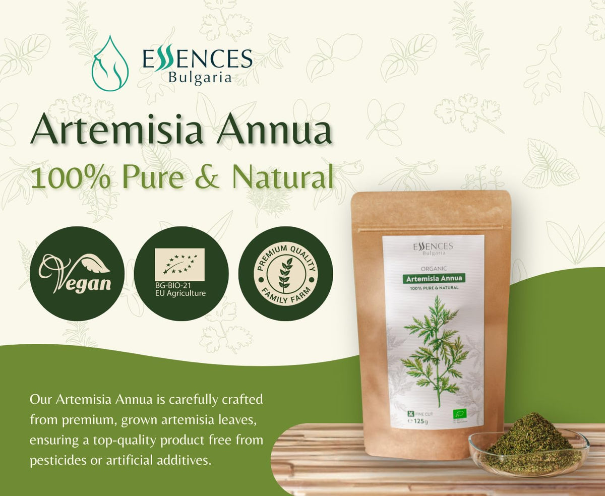 Essences Bulgaria family farm Danube region harvest of wormwood