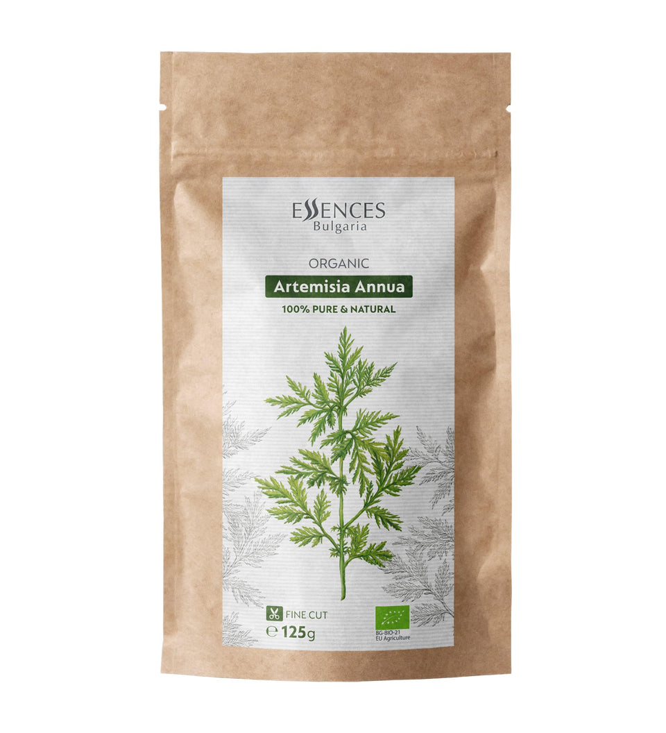 Essences Bulgaria organic sweet wormwood dried leaves for tea aroma