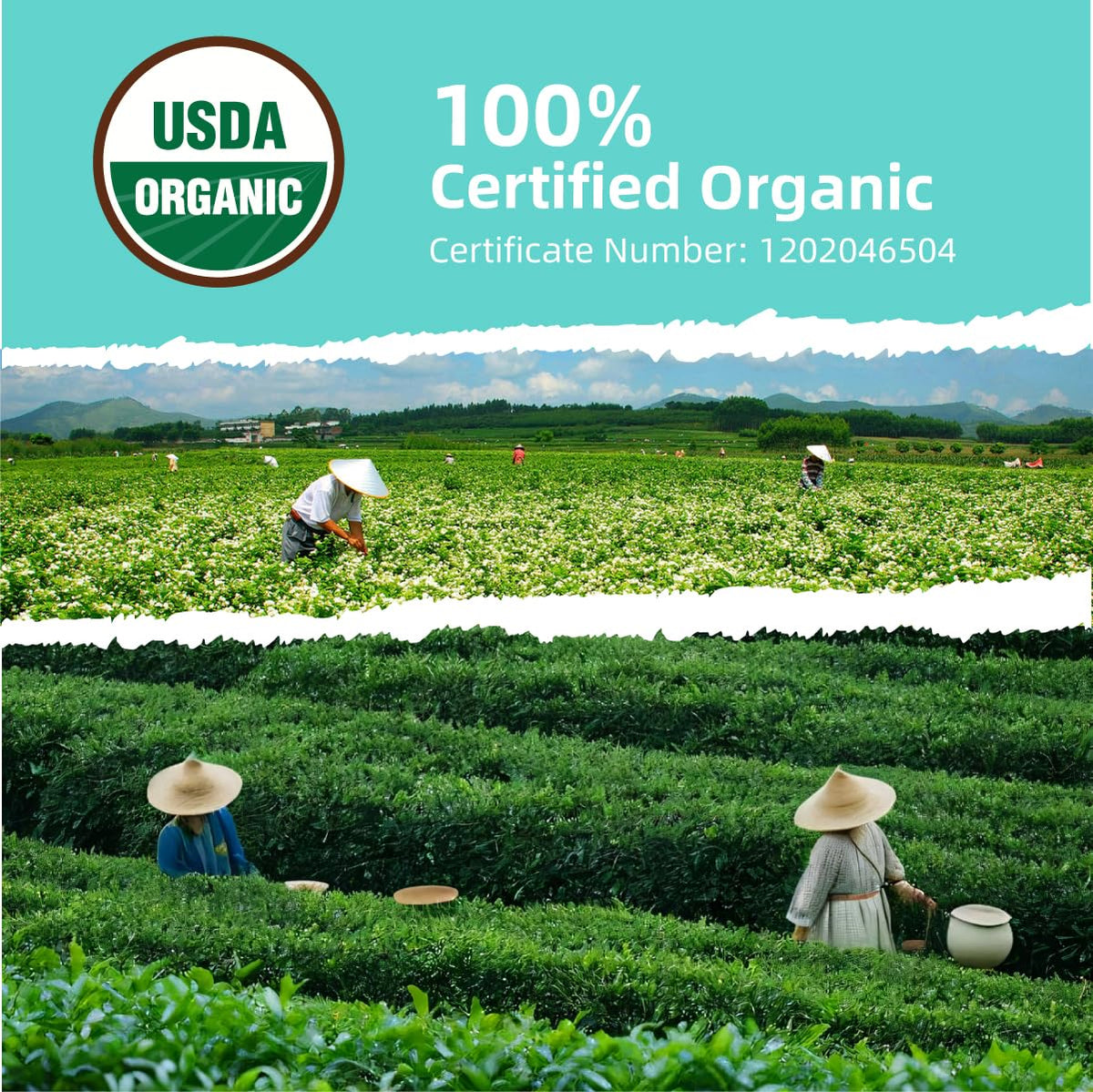 Essencesip steeping tea in a cup reveals a smooth aroma.