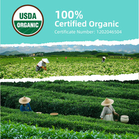 Essencesip steeping tea in a cup reveals a smooth aroma.