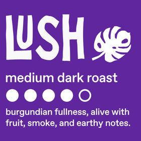 Ethical Bean Lush grinder scene suggests fresh-brew convenience
