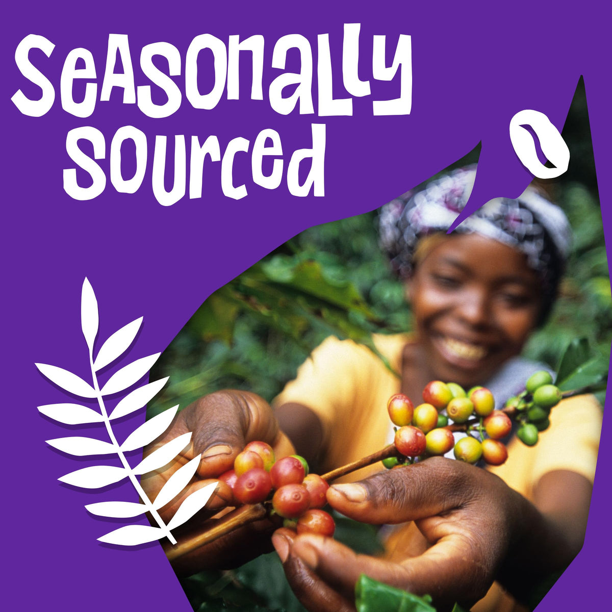 Ethical Bean Lush roasted grounds ready for grinding