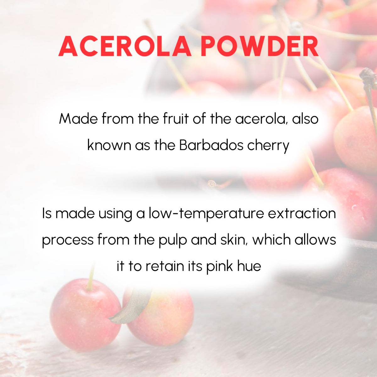 EVADY Acerola powder scoop emphasizes convenient measuring for quick vitamin boosts