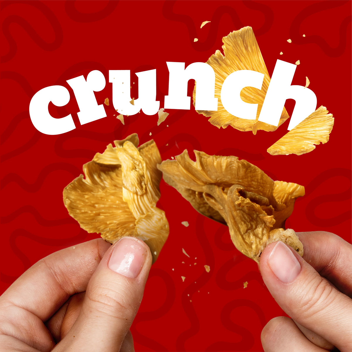 EVIL SNACKS 2 oz triple-pack with eco-friendly packaging for travel