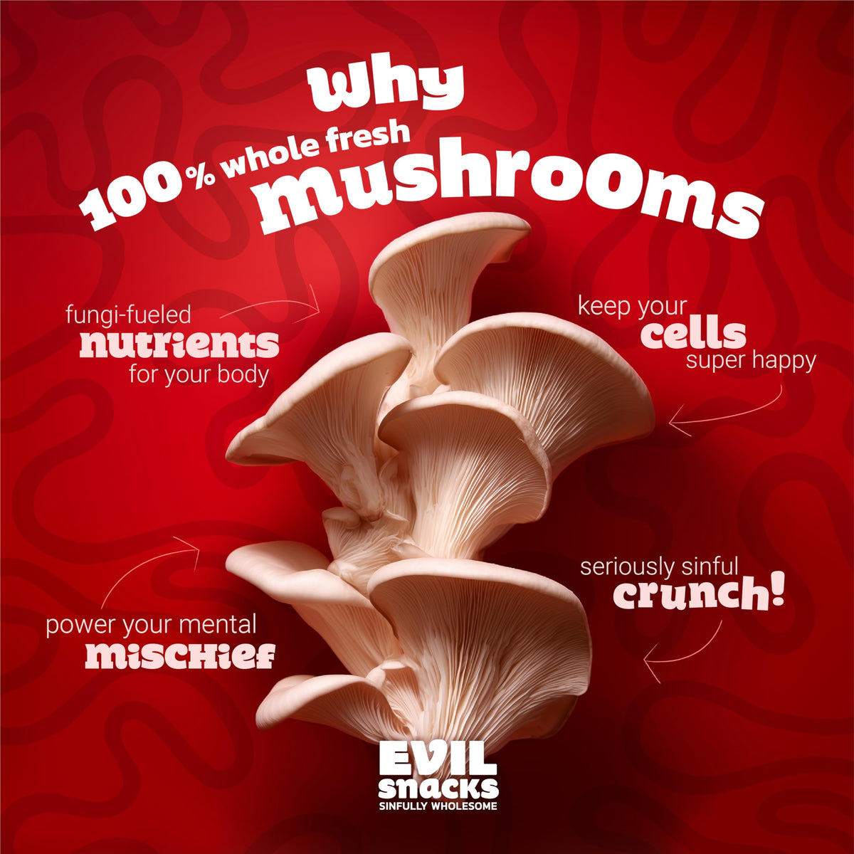 EVIL SNACKS Crunchy Mushroom Chips texture close-up showing crisp kettle-cooked caps