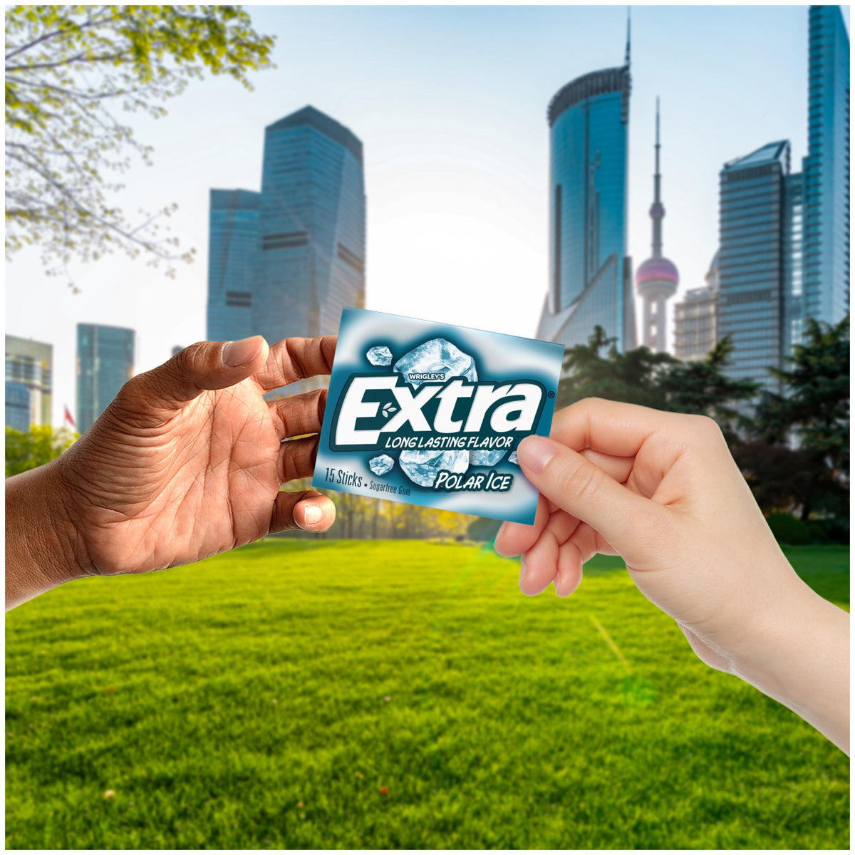 EXTRA Polar Ice individual packs ideal for sharing with friends