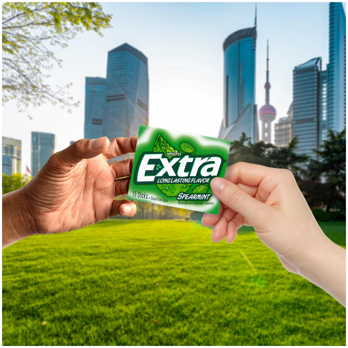 Detail of Extra sugar-free gum packaging for convenient bulk storage.