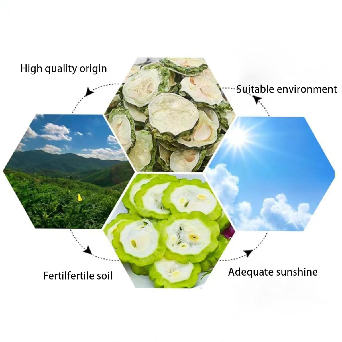 EYEM-AGS Premium Dried Momordica Charantia preserves natural aroma
