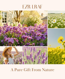 EZR LEAF 22 sachets of herbal infusions in a gift-ready set